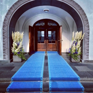 riigikogu trepivaip